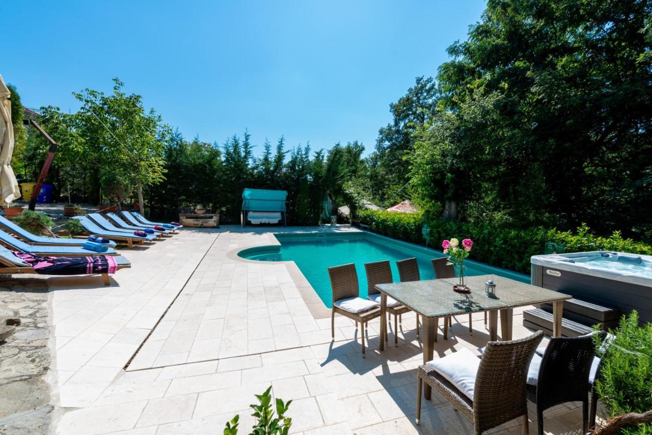 Villa Damiana photo