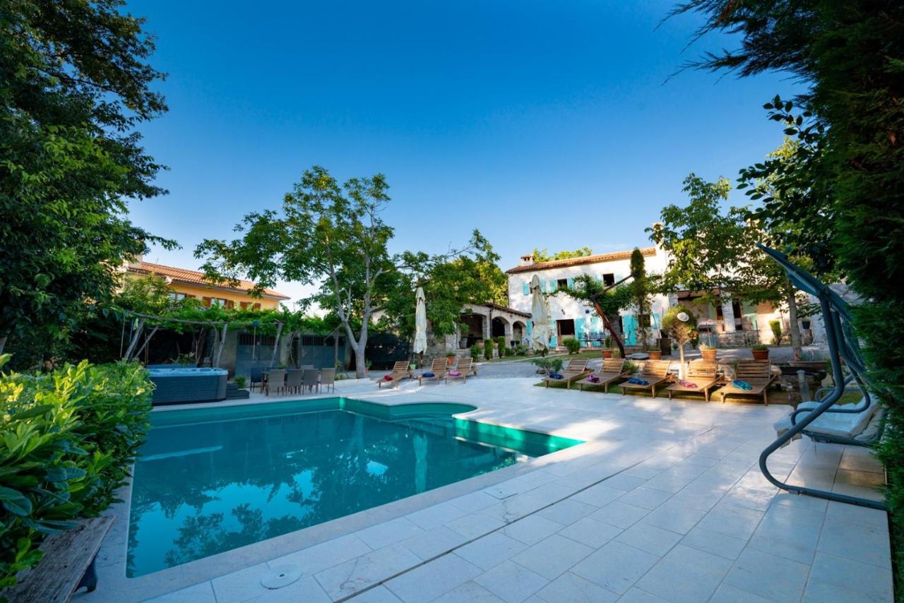 Villa Damiana photo