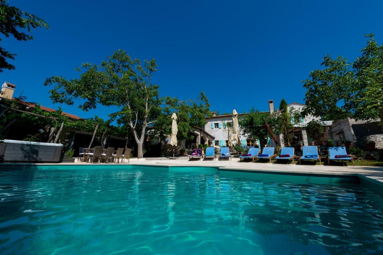 Villa Damiana photo
