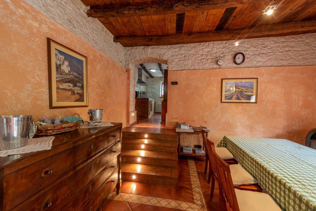 Villa Damiana photo