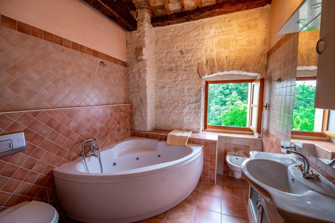 Villa Damiana photo