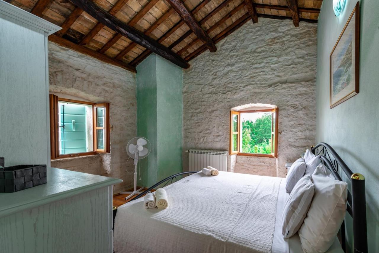 Villa Damiana photo