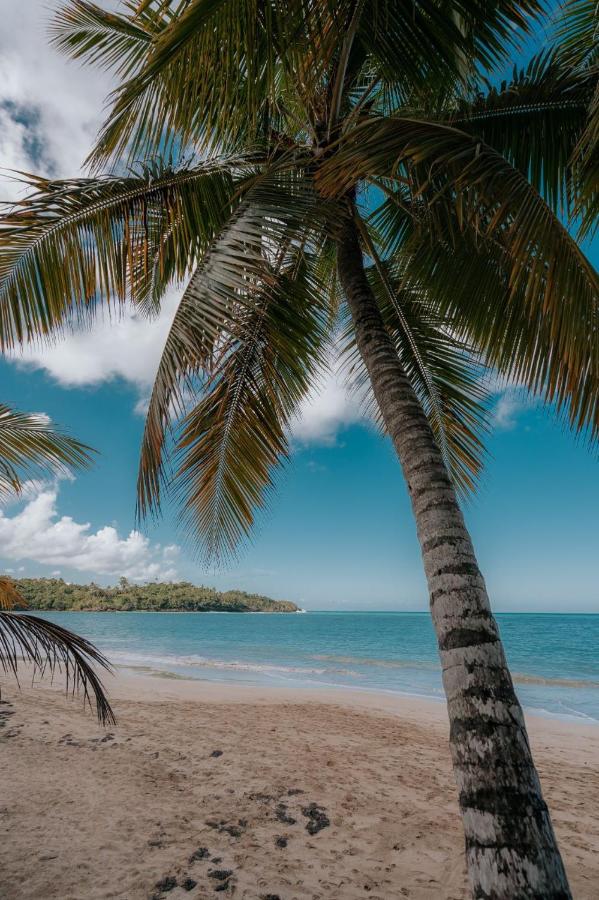 Condo Hotel Playa Las Ballenas - 5