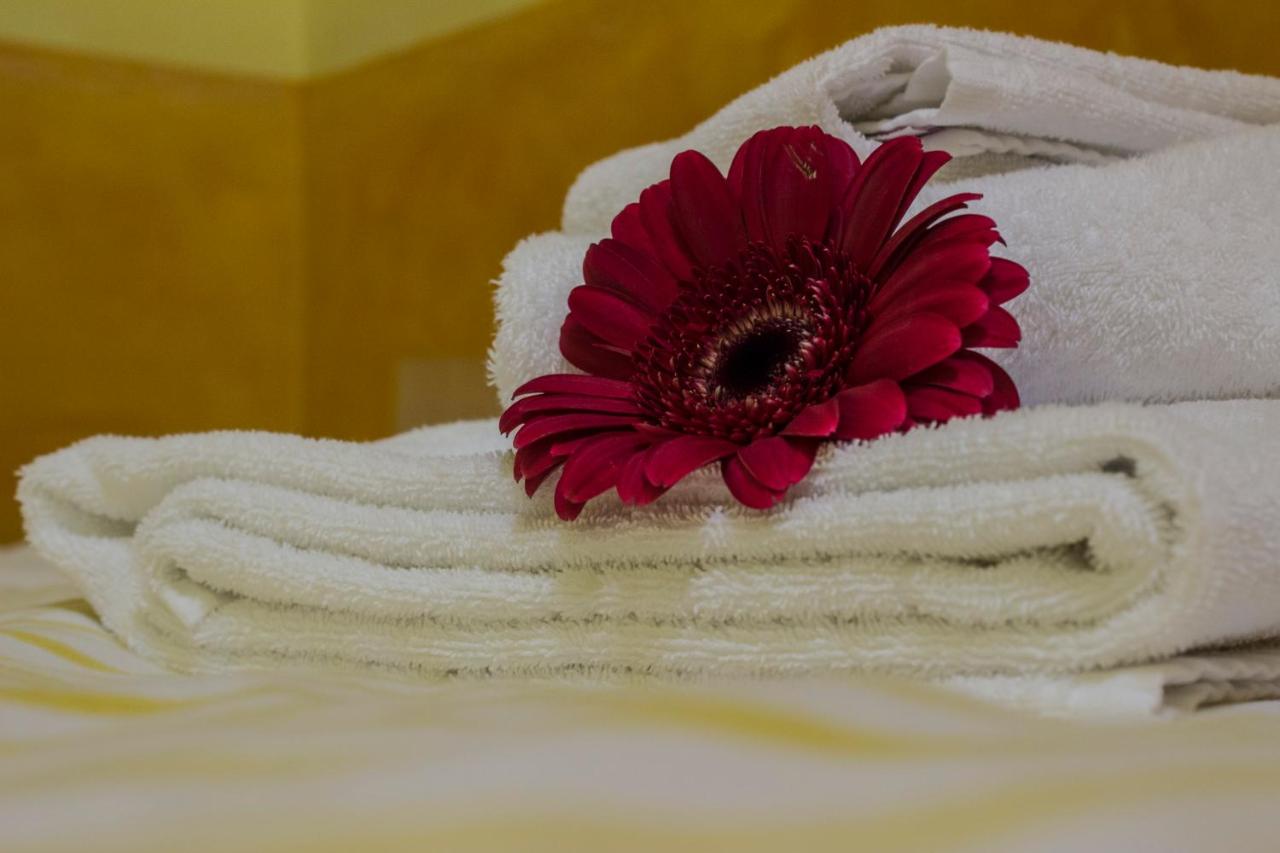 On The Rainbow B&B - 3