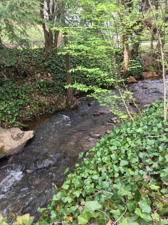 Brookside Mountain Mist Bed & Breakfast — photo 10