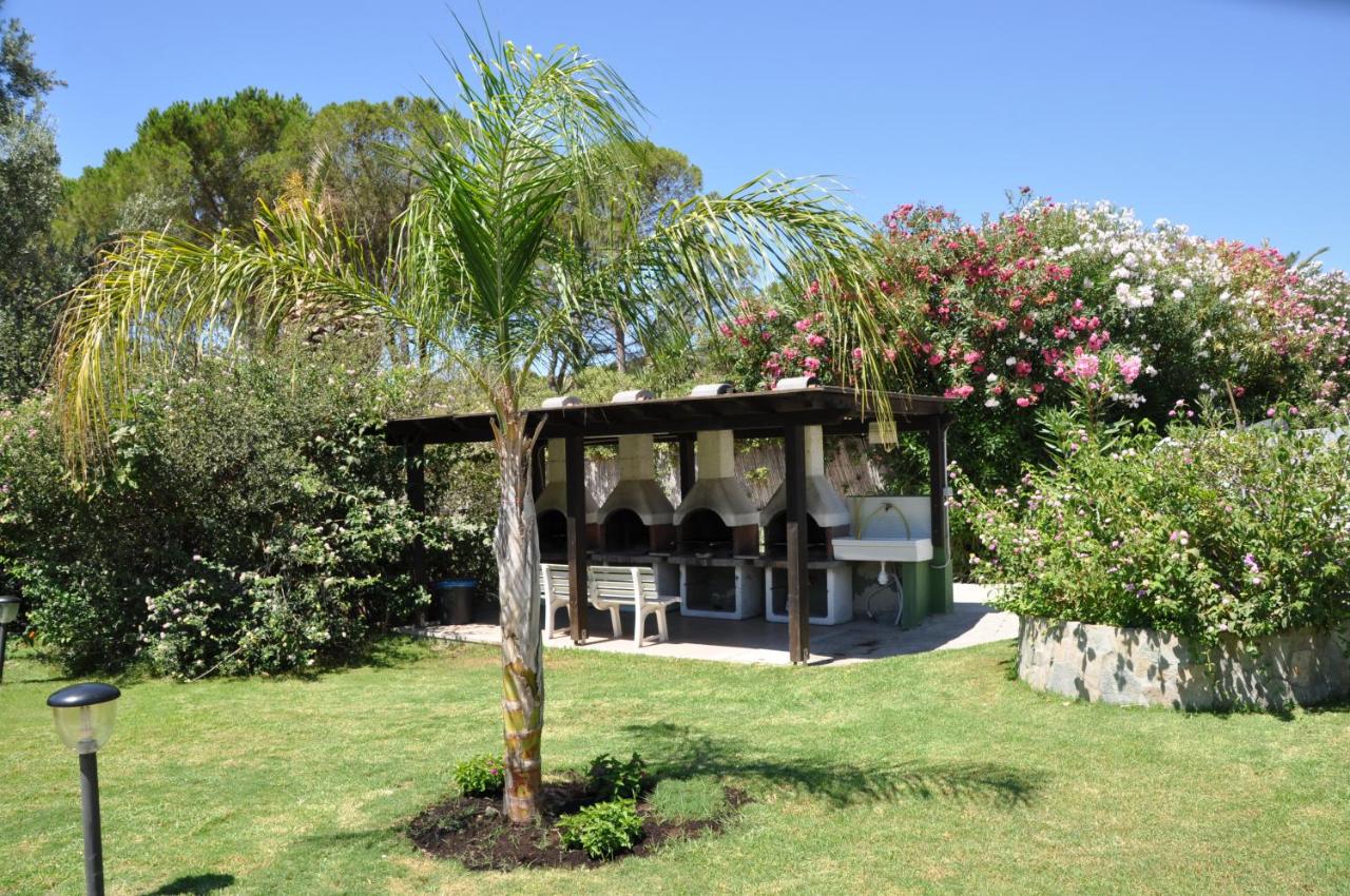 Green Village Resort photo