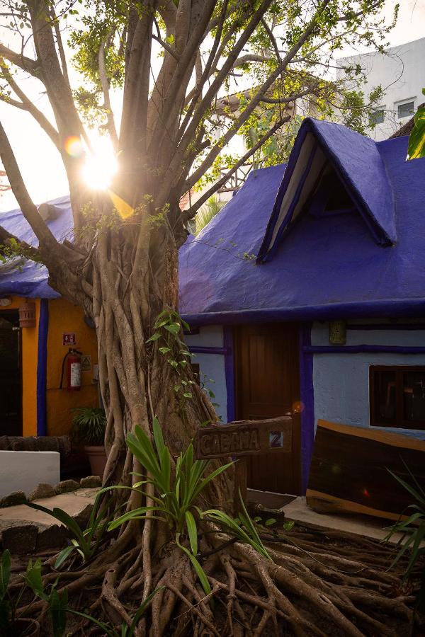 Hotel Amar Inn photo