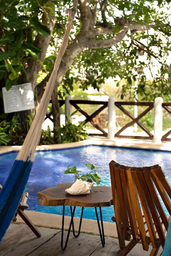 Hotel Amar Inn photo