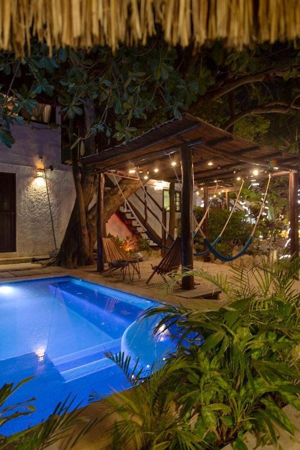 Hotel Amar Inn photo