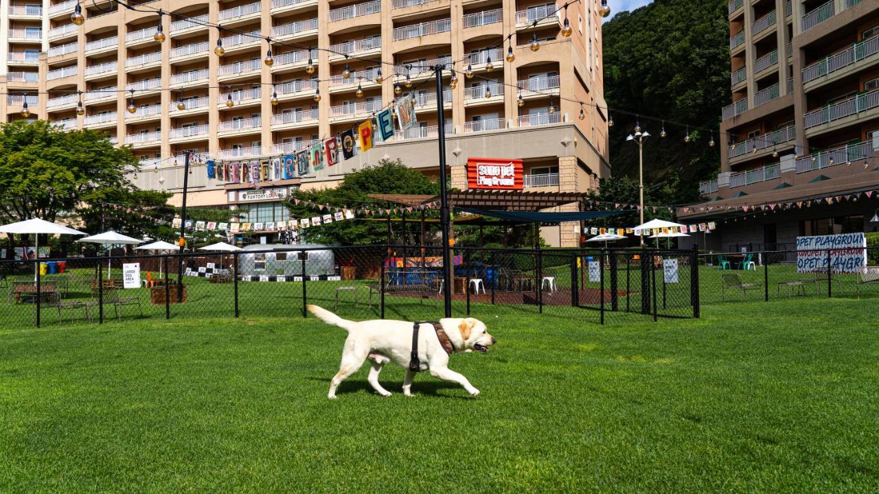 Sono Pet Clubs Resorts Vivaldi Park ホンチョン 22年 最新料金