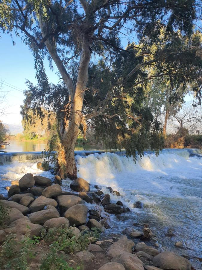 בלומינג-Bluming