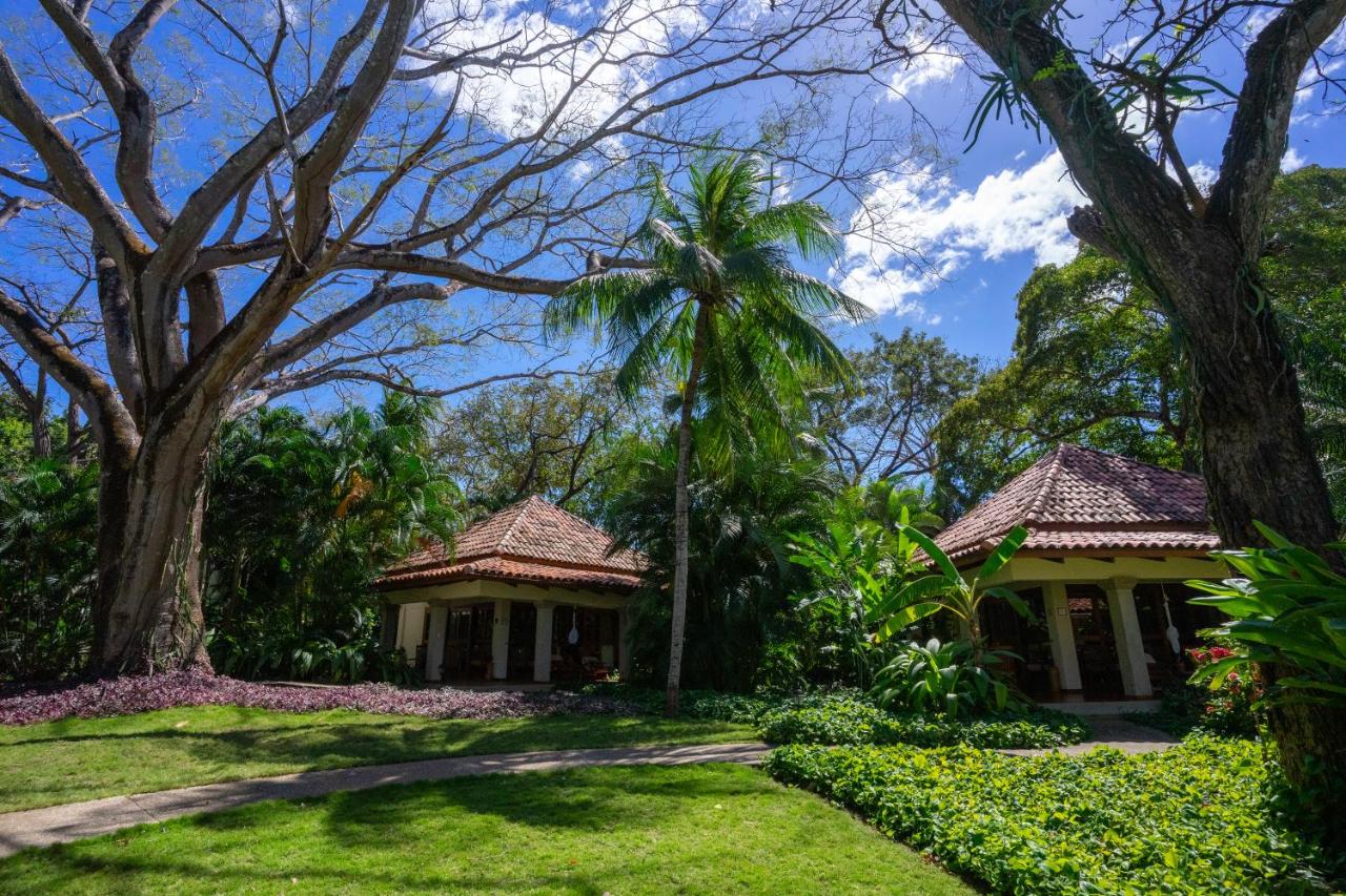Capitán Suizo Beachfront Boutique Hotel photo