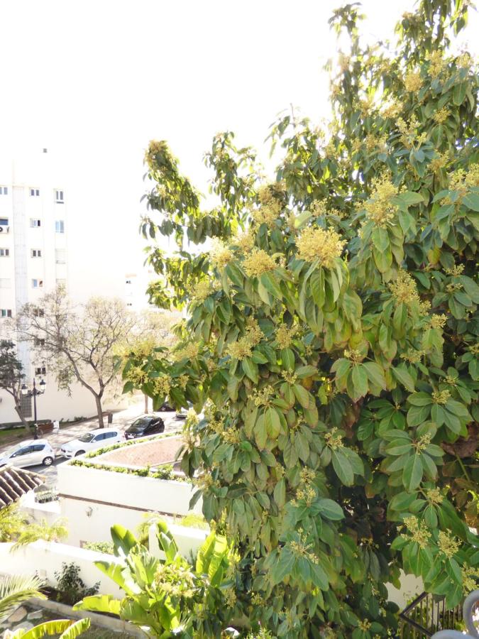 Villa Blanca - EaW Homes, Marbella – Bijgewerkte prijzen 2022