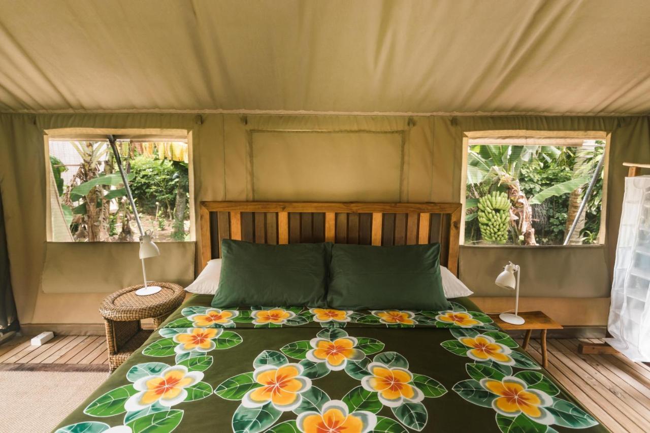 Ikurangi Eco Retreat photo