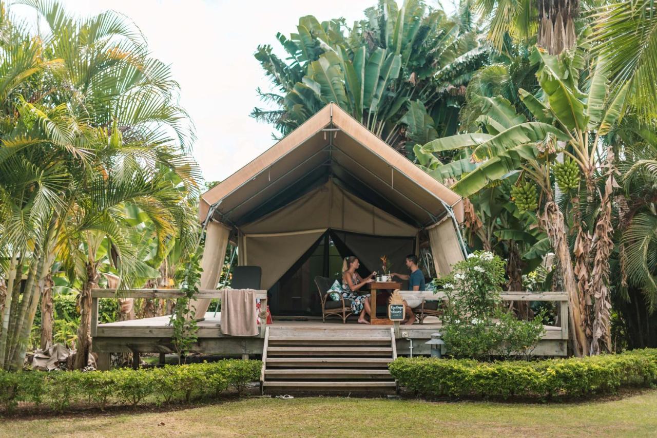 Ikurangi Eco Retreat photo