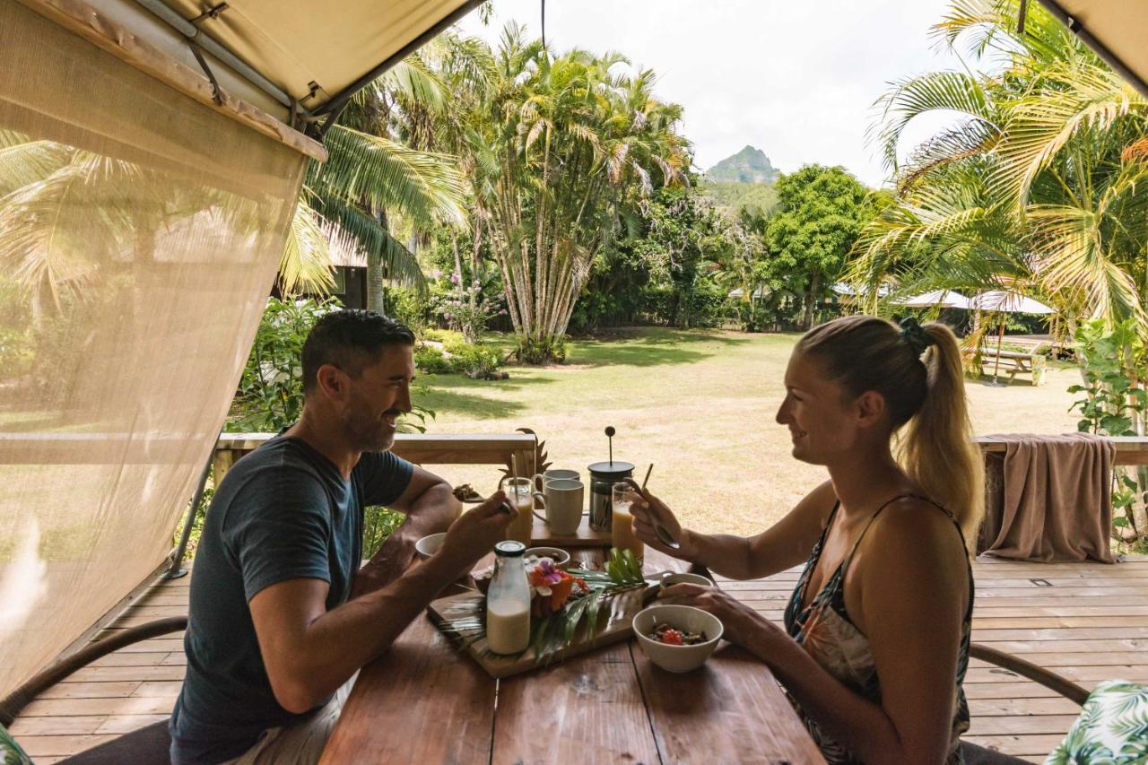 Ikurangi Eco Retreat photo