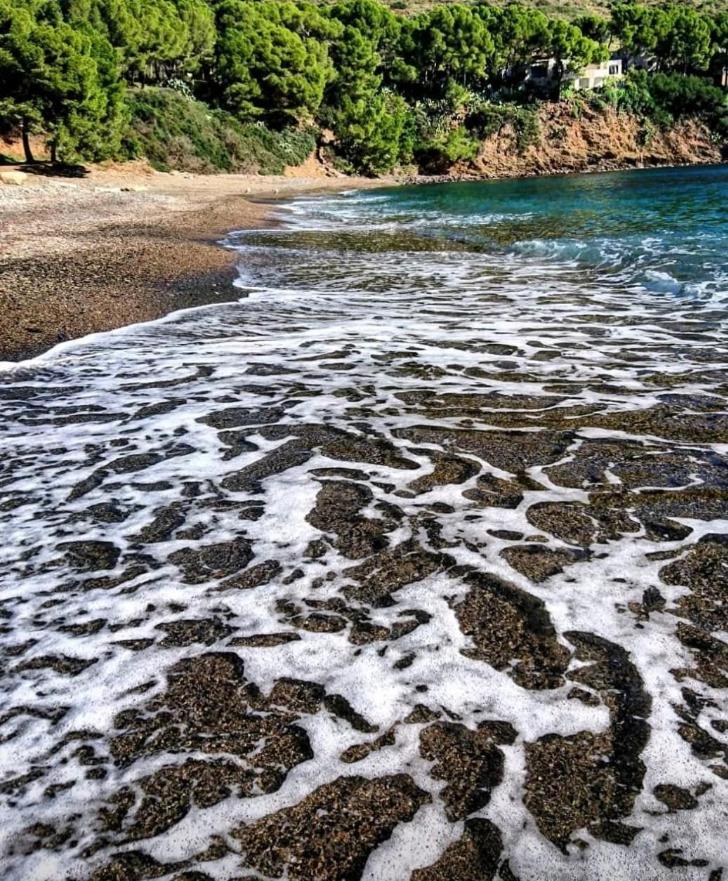 APARTAMENTO EN ROSES A 2 MINUTOS DE LA PLAYA CON VISTA AL MAR ...