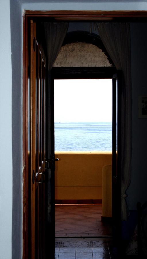 Il Delfino photo