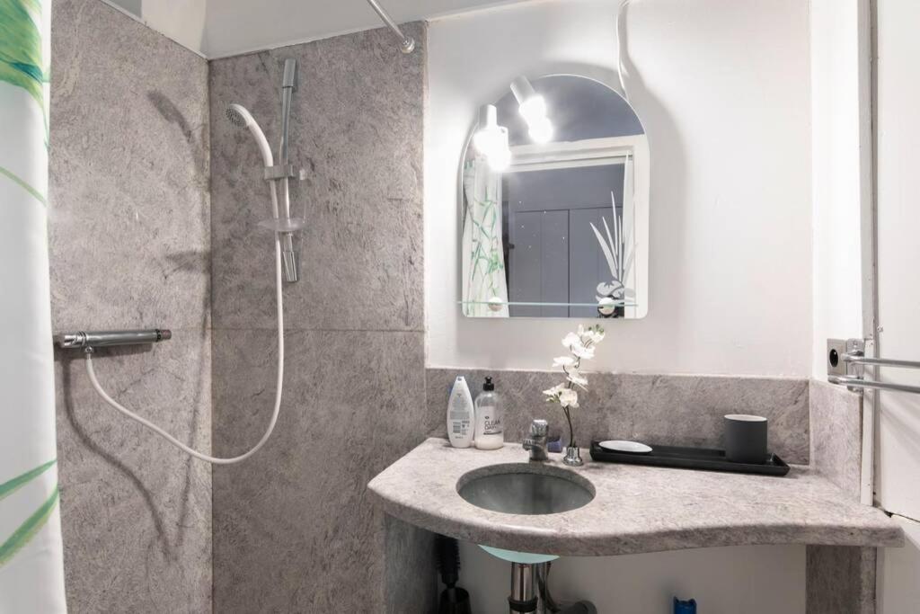 Two Beautiful Studios - Bastille- 4 pers - 3