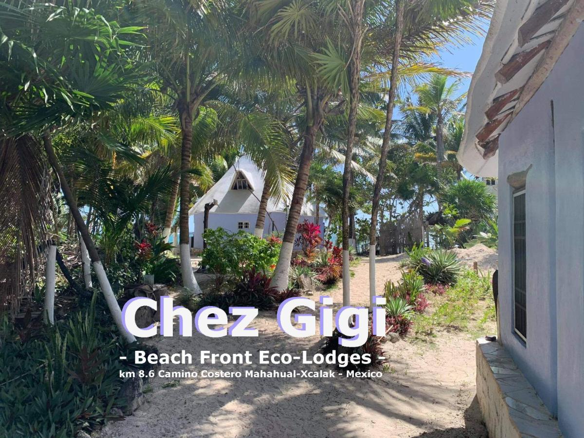 Image: Chez Gigi - Eco Lodge
