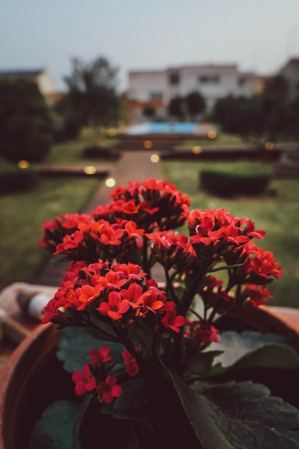 Villa Paquita - Delta de lEbre, Deltebre – Aktualisierte ...