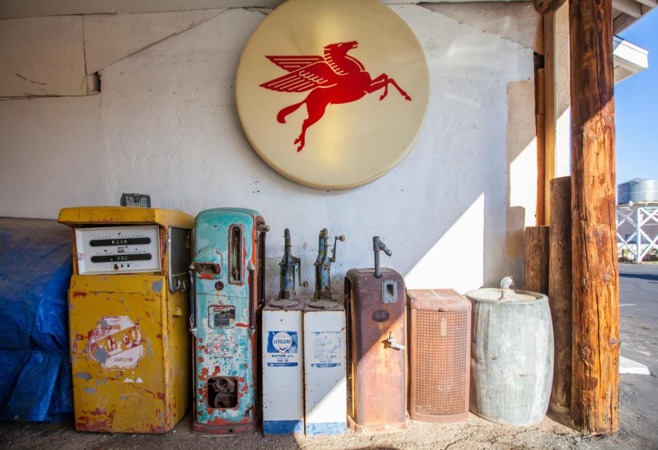 Cactus Motel — photo 16