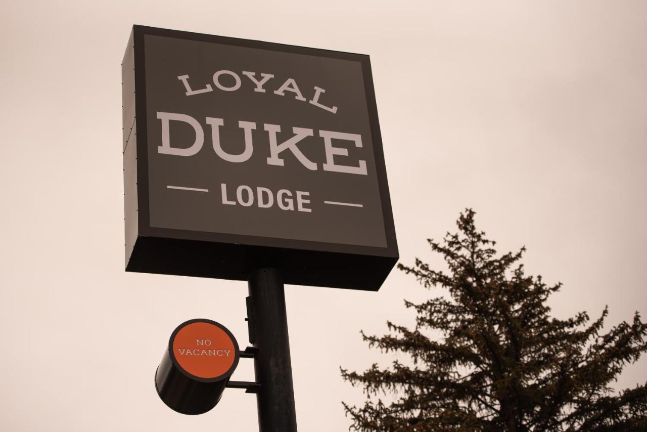 Loyal Duke Lodge — photo 16