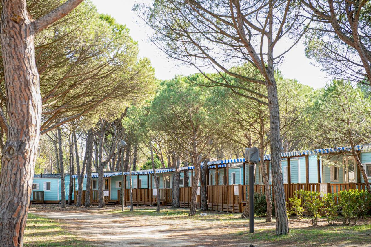 Albatross Mobile Homes on Camping Playa Brava, Pals – Precios ...