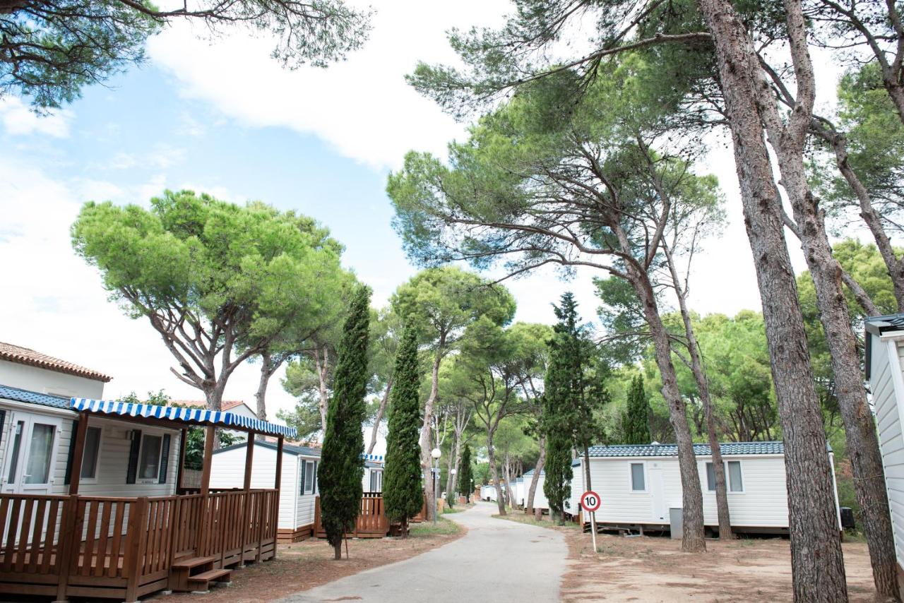 Albatross Mobile Homes on Camping Lacus, L Escala ...