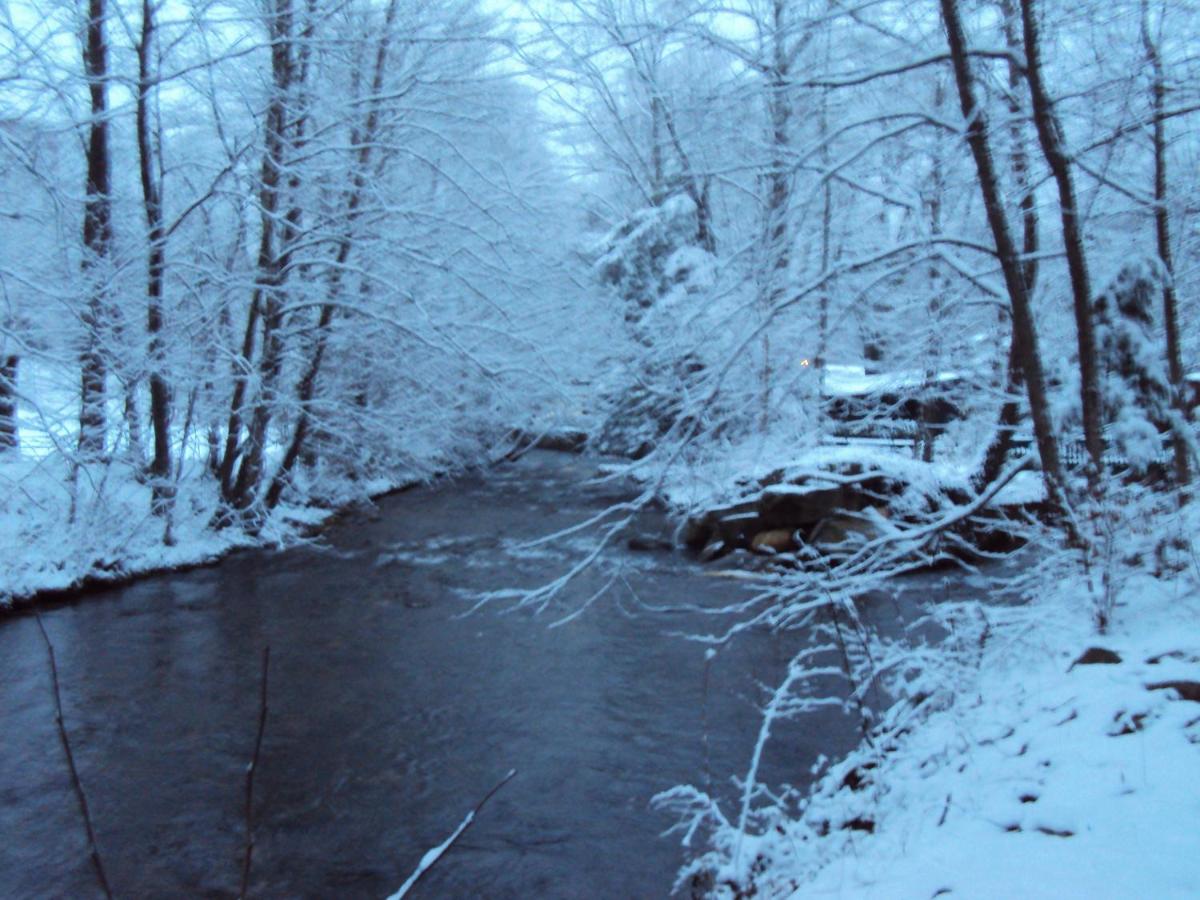 Five Star Inn - Maggie Valley — photo 8