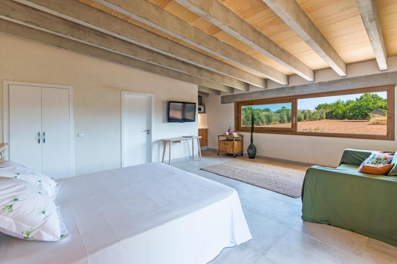 Villa Barcares Gran for 10, pool, gym and close to beach - 2