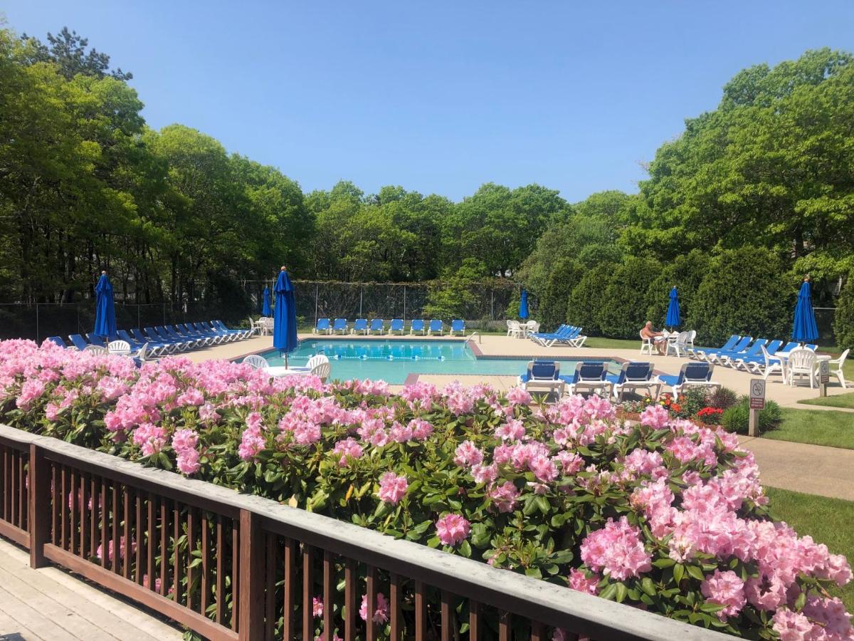 Sea Mist Resort — photo 13