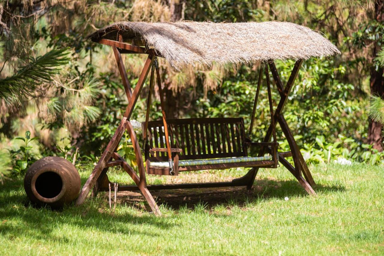 La Finca, La Orotava – Updated 2022 Prices