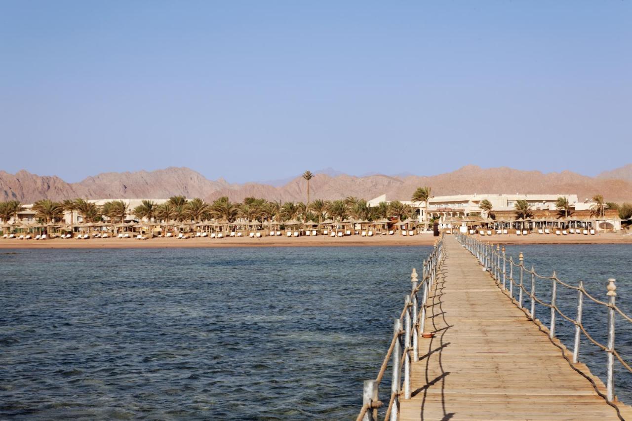 Beach: Pickalbatros Royal Moderna Sharm 