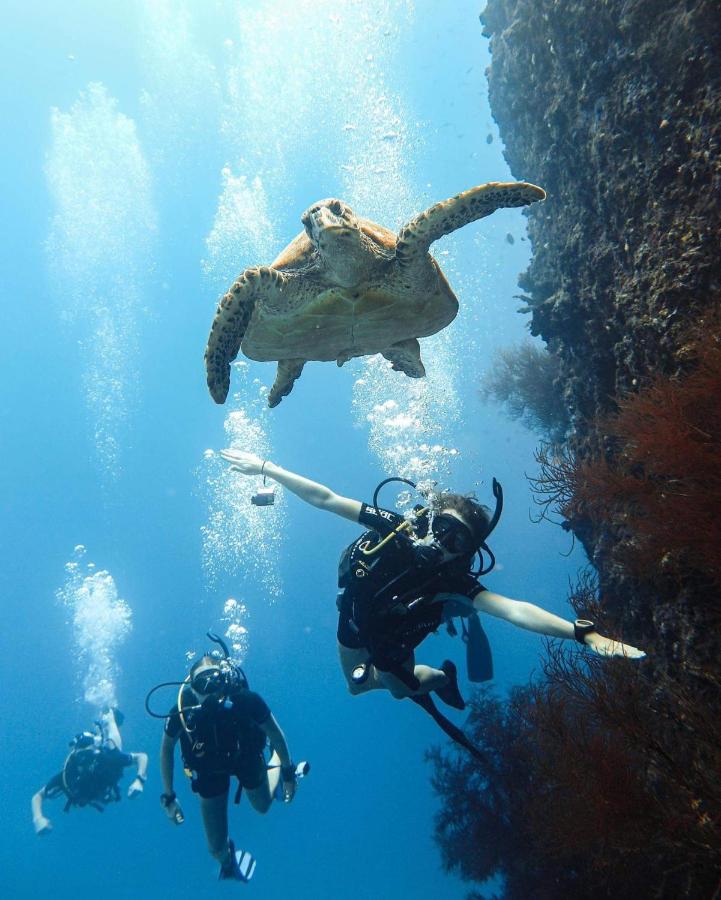 Sunset Beach View - 5