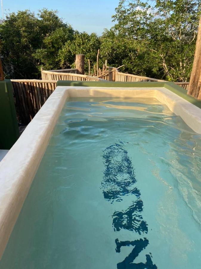 Rooftop swimming pool: Loba Tulum Male Only