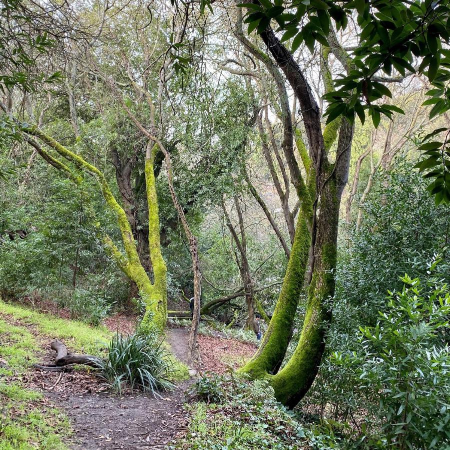 Claremont Resort & Club — photo 24