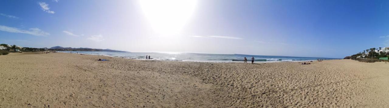Beach: LOS HIBISCOS 404