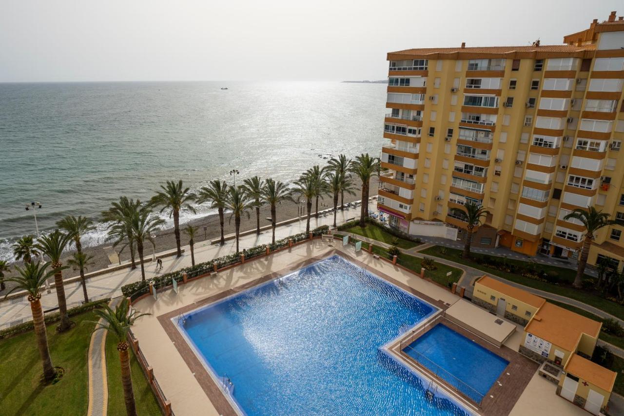 Antílope, Algarrobo Costa – Precios actualizados 2022