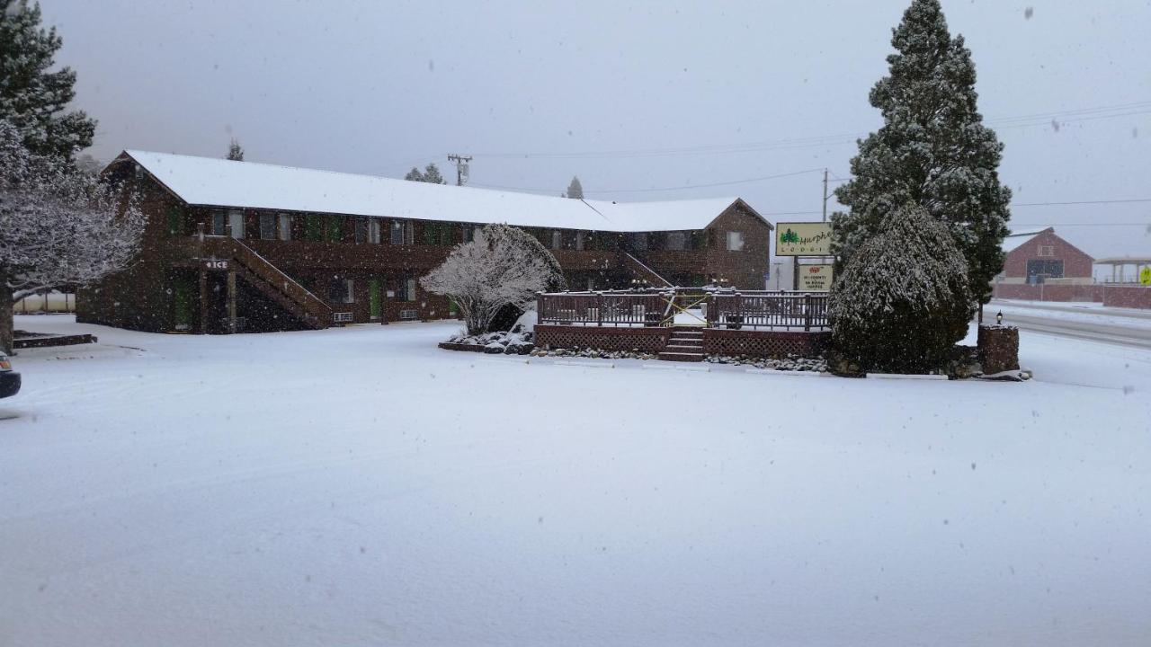 Murphy's Motel — photo 12