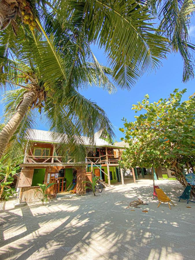 Image: Bella's Backpackers Hostel