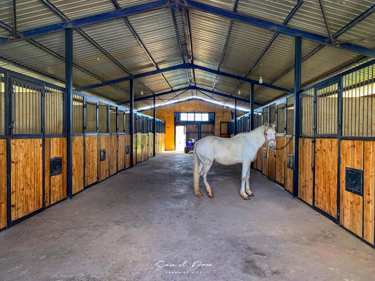 The Ranch - Lodge & Equestrian Center photo