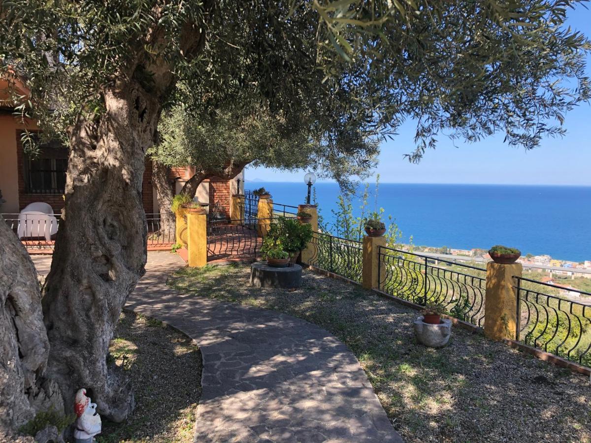 villetta Monte photo