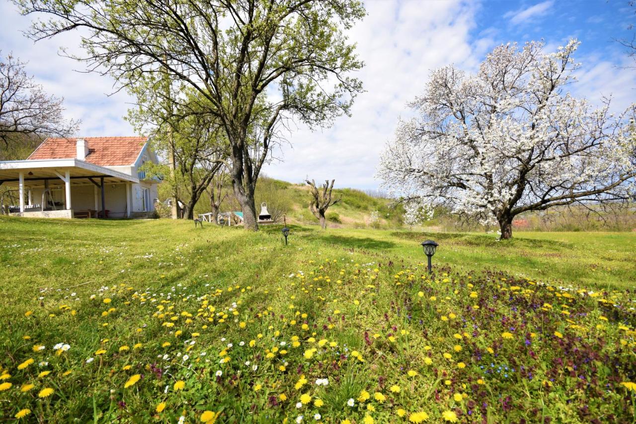 Honey Hill Apartment Fruska Gora
