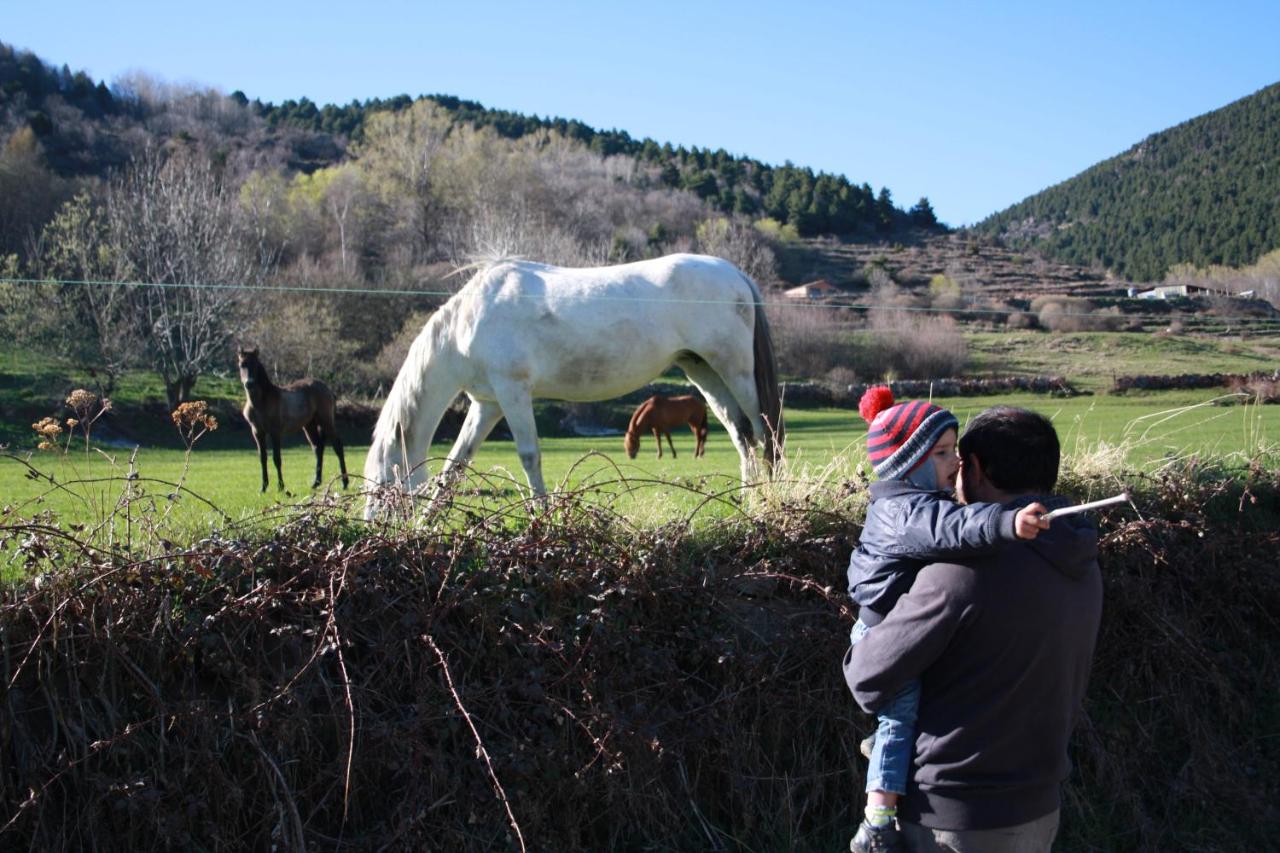 Cal Sandic, Aransá – Updated 2022 Prices