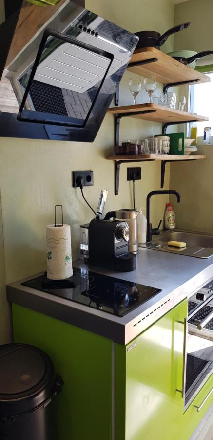 JaBaKi Green Studio - 4