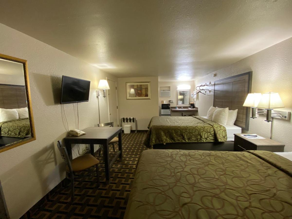 Motel In The Pines — photo 2