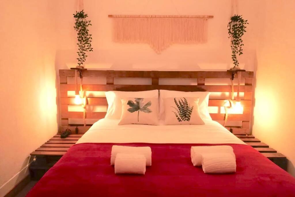 Rian - central 2 bedroom Apartment in Porto - 4