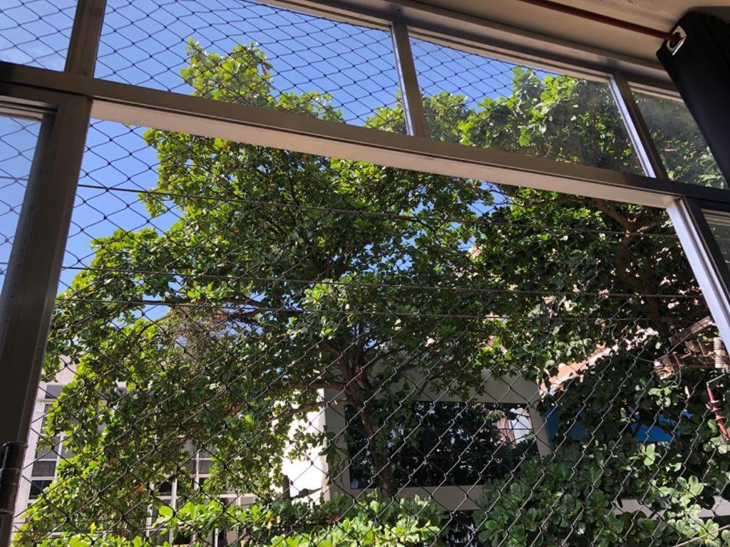 Botafogo Otima Oportunidade - 4