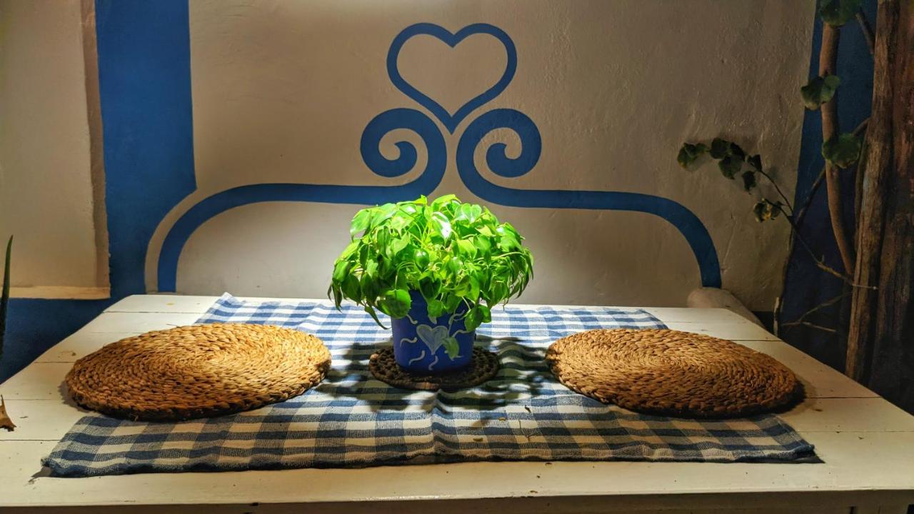 Casa Azul do Piauí photo